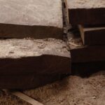 Pillage silencieux : Comment le bois précieux du Congo attise le commerce illégal au Burundi