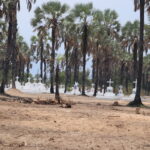 Les communautés, pièce maîtresse de la préservation des ressources naturelles au Burundi